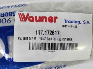 Recambio de molduras delanteras para peugeot 307 berlina (s2) 2005-2008 referencia OEM IAM 7452P7 107172616 PG4201245
