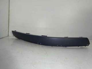 Recambio de molduras delanteras para volkswagen passat berlina (3b3) 2000-2005 referencia OEM IAM  107232617 