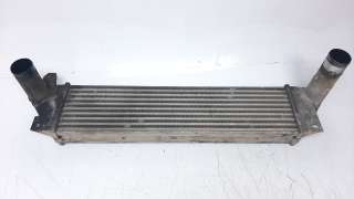Recambio de intercooler para land rover freelander (ln) 2000-2003 2.0 td4 cat referencia OEM IAM PNG000020 309054 