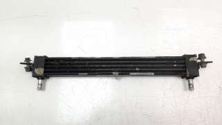 Recambio de radiador caja cambios para aston martin rapide 2009- 5.9 v12 cat referencia OEM IAM 9D337869BA  