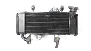 Recambio de radiador agua para yamaha mt-125 2019- referencia OEM IAM B1VE246000  