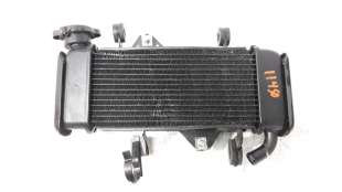 Recambio de radiador agua para yamaha mt-125 2019- referencia OEM IAM B1VE246000   2