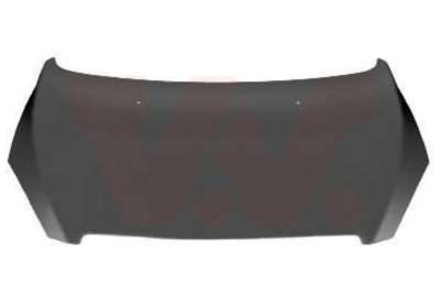 Recambio de capo para peugeot 307 (s1) 2001-2005 referencia OEM IAM 7901J0 109172330 PG4203100