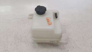 Recambio de deposito expansion para kia carens ( ) 2013- 1.6 gdi cat referencia OEM IAM 254303W000  