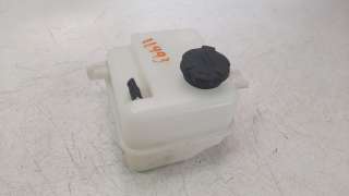 Recambio de deposito expansion para kia carens ( ) 2013- 1.6 gdi cat referencia OEM IAM 254303W000  