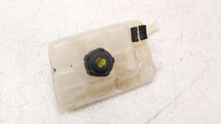 Recambio de deposito expansion para renault megane iv berlina 5p 2015- 1.2 tce energy referencia OEM IAM 217102781R  