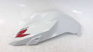 Recambio de moldura para bmw f 900 r 2019- referencia OEM IAM 3179253001 8403851 19593510