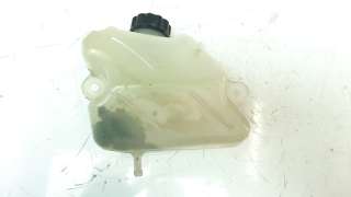 Recambio de deposito expansion para kawasaki ninja 650 2016- referencia OEM IAM 430930003  