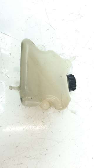 Recambio de deposito expansion para kawasaki ninja 650 2016- referencia OEM IAM 430930003  