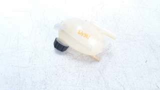 Recambio de deposito expansion para renault clio iv 2012- 1.5 dci diesel fap referencia OEM IAM 217100680R  