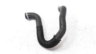 Recambio de tubo para peugeot expert furgón 2016- 1.6 blue-hdi fap referencia OEM IAM 9806788380  