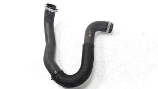 Recambio de tubo para peugeot expert furgón 2016- 1.6 blue-hdi fap referencia OEM IAM 9806788380  
