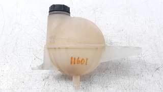 Recambio de deposito expansion para ford transit custom kasten 2012- 2.2 tdci cat referencia OEM IAM BK218K218AH  