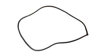 Recambio de gomas contorno puerta para kia niro 2016- referencia OEM IAM 812049   2
