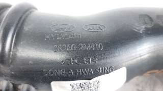 Recambio de tubo presion turbocompresor para hyundai tucson 2015- referencia OEM IAM 282602M410  