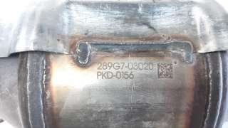 Recambio de filtro de particulas para hyundai tucson 2015- referencia OEM IAM 289G703020  