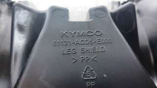 Recambio de moldura para kymco g-dink 125 2012-2017 referencia OEM IAM 81131ACD5E000  