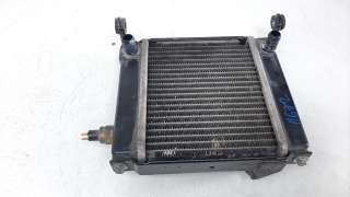 Recambio de radiador agua para kymco g-dink 125 2012-2017 referencia OEM IAM U0498110000  