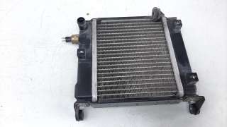 Recambio de radiador agua para kymco g-dink 125 2012-2017 referencia OEM IAM U0498110000  