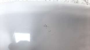 Recambio de luz interior para bmw serie 3 lim. (f30) 2011-2015 2.0 turbodiesel referencia OEM IAM 43921949804   2