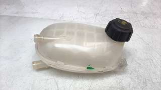 Recambio de deposito expansion para dacia jogger 2021- comfort referencia OEM IAM 217102572R  