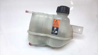 Recambio de deposito expansion para nissan qashqai (j11) 2013- tekna referencia OEM IAM 217114EA0A  