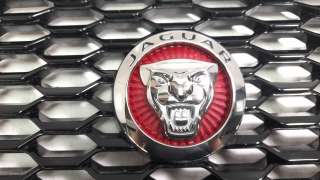 Recambio de rejilla delantera para jaguar e-pace 2017- first edition referencia OEM IAM J9C38A100AA  