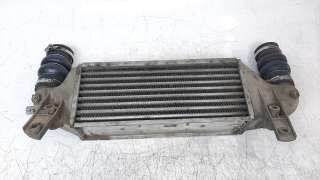 Recambio de intercooler para ford focus berlina (cak) 1998-2004 ambiente referencia OEM IAM 1M509L440BA  