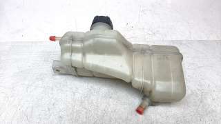 Recambio de deposito expansion para nissan pulsar (c13) 2014-2018 acenta referencia OEM IAM 217103ZU0A  