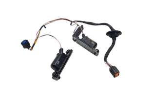 Recambio de maneta exterior maletero / porton para kia sportage (nq5) 2021- concept referencia OEM IAM 92501R2010   2