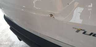 Recambio de porton trasero para hyundai tucson (nx) 2020- klass 2wd referencia OEM IAM 72800N7010   2