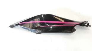 Recambio de moldura para kawasaki ninja 400 2017- referencia OEM IAM 360410038  