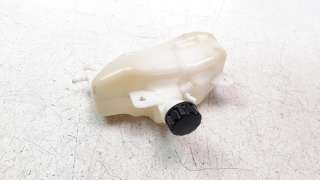 Recambio de deposito expansion para kawasaki ninja 400 2017- referencia OEM IAM 430780600  