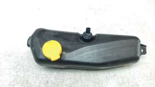Recambio de deposito limpia para dacia duster ii 2017- prestige referencia OEM IAM 289107187R  