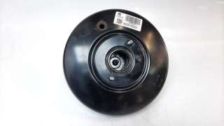 Recambio de servofreno para jeep compass (m7) 2020-2022 longitude fwd referencia OEM IAM A0204J01452  