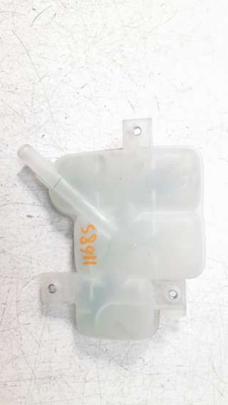 Recambio de deposito expansion para hyundai ioniq 2016- referencia OEM IAM 254R0P4500  