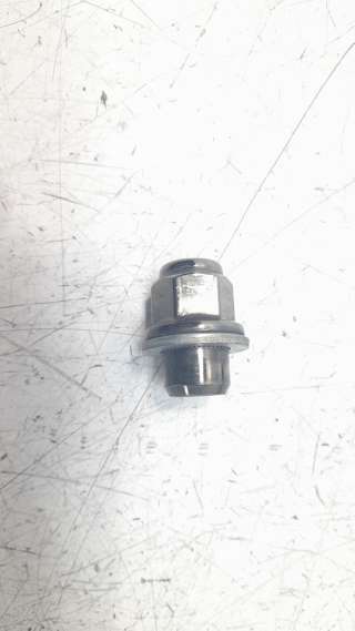 Recambio de herramientas para toyota c-hr 2016- hybrid gr sport referencia OEM IAM TORNILLO  