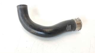 Recambio de tubo para renault captur ii 2019- 1.0 tce referencia OEM IAM 144601591R  