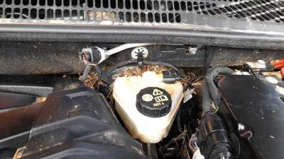 Recambio de servofreno para volkswagen amarok 2016- referencia OEM IAM 2H0612105A  