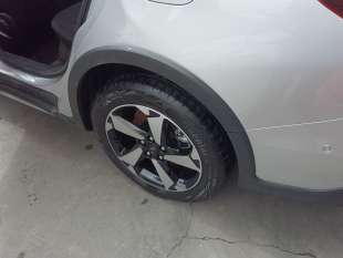 Recambio de amortiguador trasero izquierdo para ford focus sportbreak - focus sportbreak referencia OEM IAM 2473873  