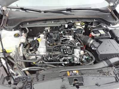 Recambio de motor completo para ford focus sportbreak - focus sportbreak referencia OEM IAM M0DC  
