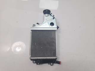 Recambio de radiador agua para honda pcx 125 2020- referencia OEM IAM 19100K25N00  