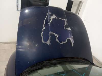 Recambio de capo para seat toledo (1m2) 1999-2004 stella referencia OEM IAM   