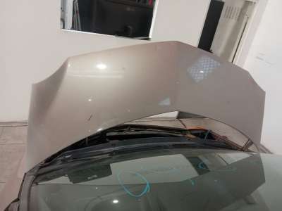 Recambio de capo para renault modus / grand modus (f/jp0_) 2004- 1.4 (jp01, jp0j) referencia OEM IAM   