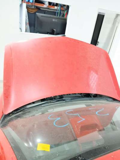 Recambio de capo para renault megane ii coupé-cabriolet (em0/1_) 2003-2010 2.0 referencia OEM IAM   