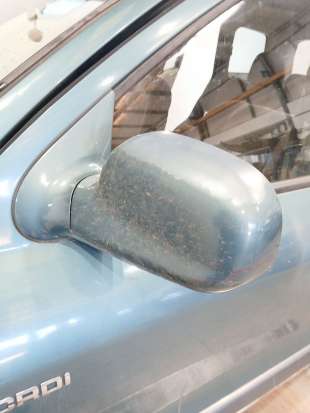 Recambio de retrovisor izquierdo para hyundai santa fé i (sm) 2000-2006 2.0 crdi referencia OEM IAM   