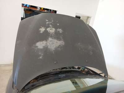 Recambio de capo para volvo s60 i (384) 2000-2010 d5 referencia OEM IAM   