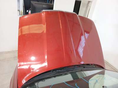 Recambio de capo para skoda octavia i (1u2) 1996-2010 1.9 tdi referencia OEM IAM   