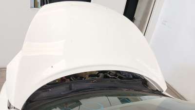 Recambio de capot delantero para nissan juke (f15) 2010- 1.2 dig-t referencia OEM IAM F5100BA6MA  