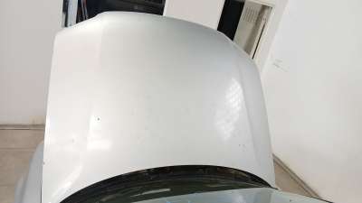Recambio de capo para volkswagen passat b5.5 variant (3b6) 2000-2005 1.9 tdi referencia OEM IAM   